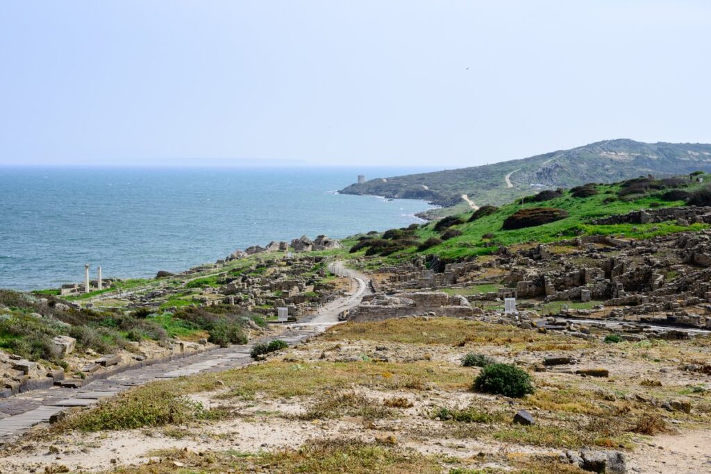 città della Sardegna antica e sito archeologico nel comune italiano di Cabras (OR)