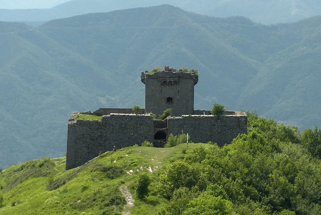 Little Brother Fort