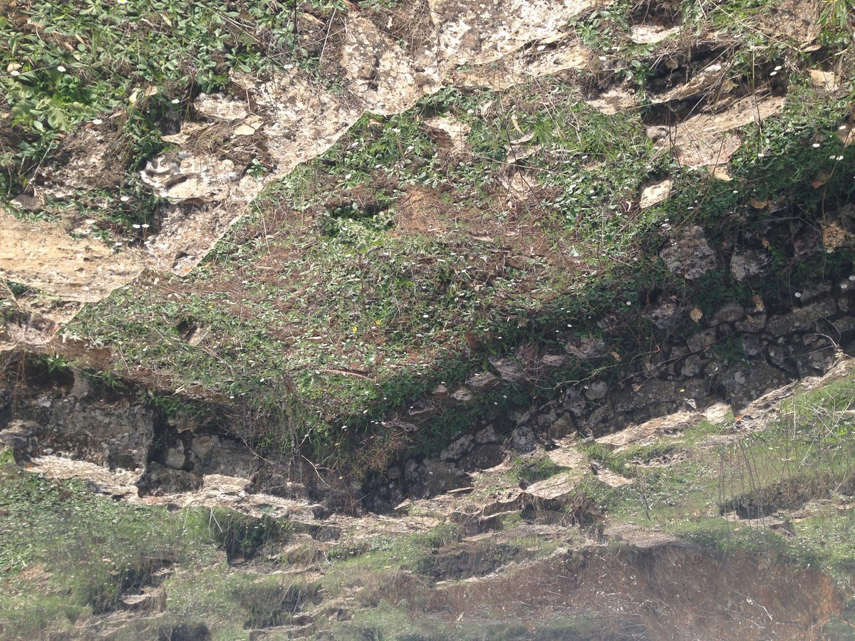 Монте-Буббония