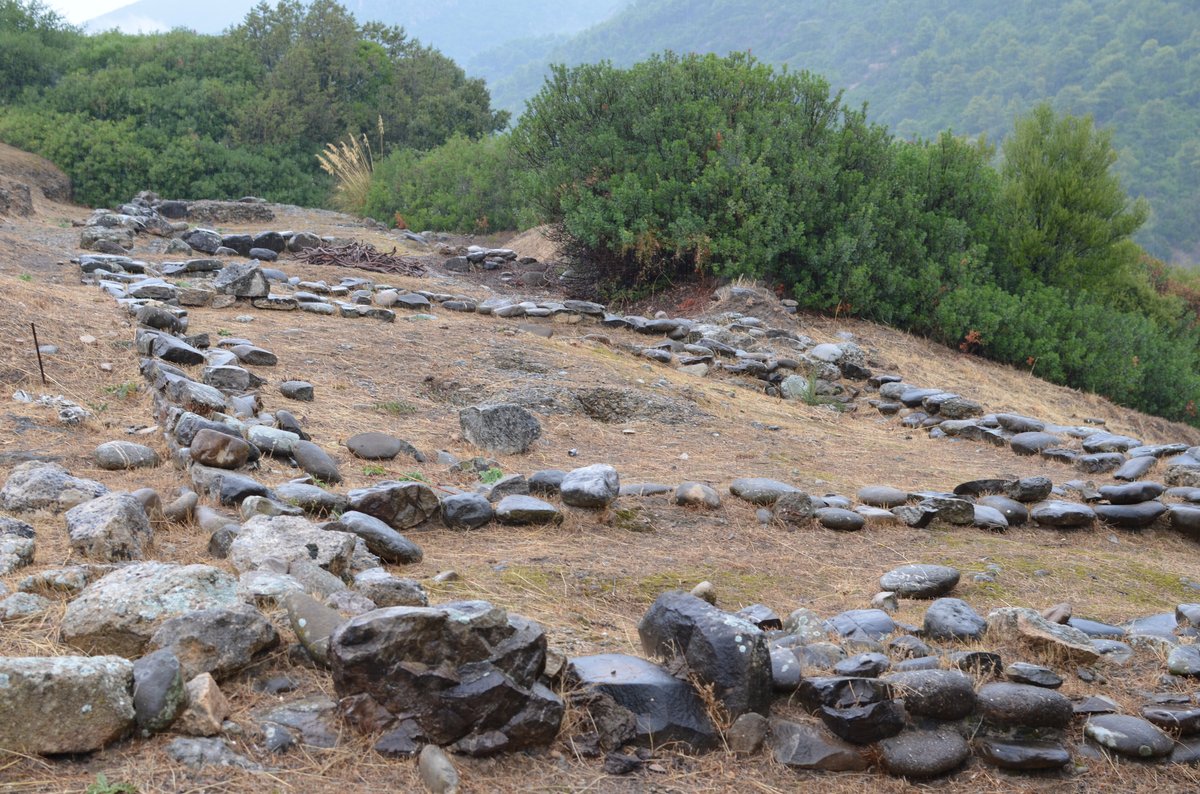 تيمبوني ديلا موتا