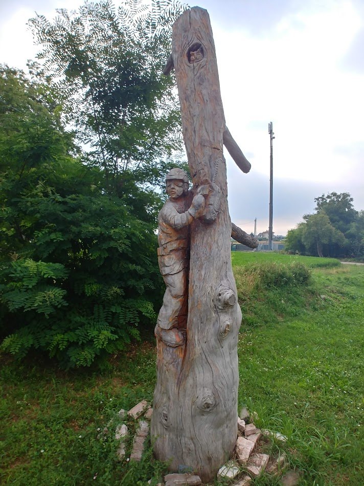 Spiderman of the trees