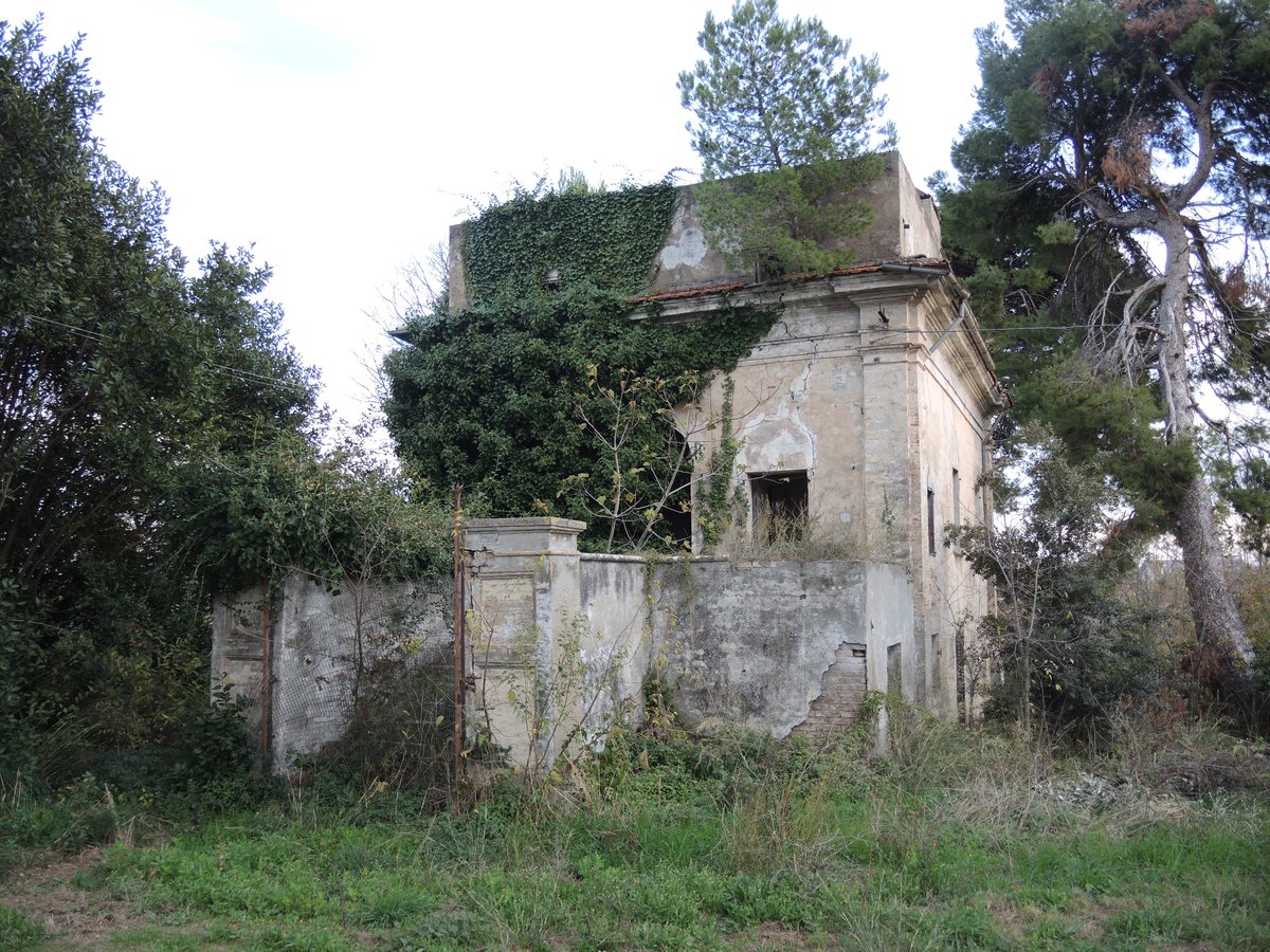 كازينو ماير