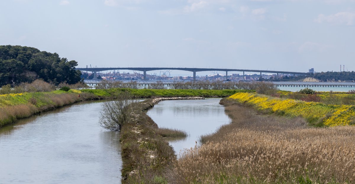 Мост Пунта-Пенна–Пидццоне