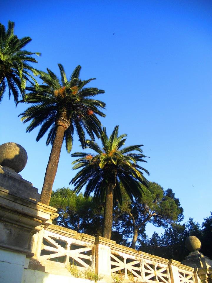 Сады Перипато