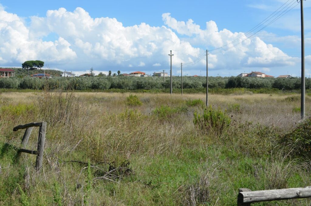 città della Magna Grecia