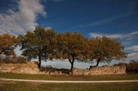 Copertina itinerario Urbs Salvia: Amphitheater for 5,000 Spectators and Roman Cisterns in the Marche Region