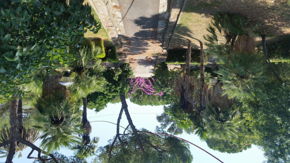 Бастион Ветряная Мельница