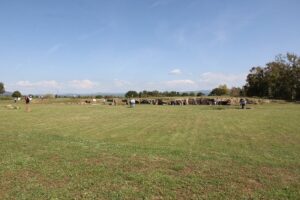 Sito archeologico in Alghero, Italia