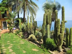 Botanical garden in Liguria, Italy