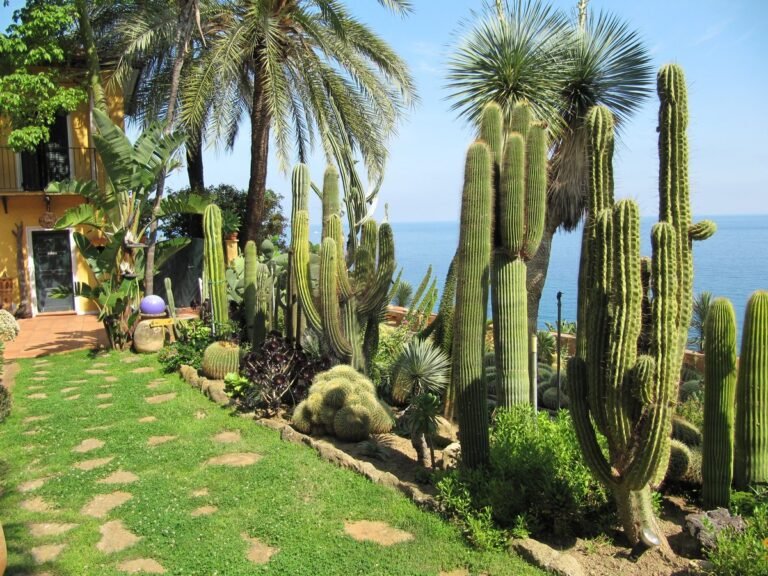 Botanical garden in Liguria, Italy