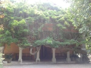 museo a Bordighera