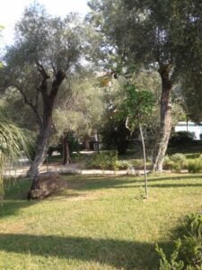 Giardini pubblici nella città di Bordighera, in provincia di Imperia.