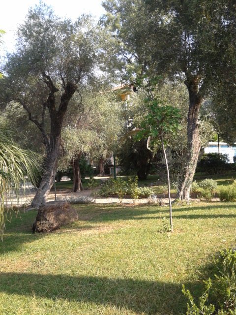 Giardini pubblici nella città di Bordighera, in provincia di Imperia.