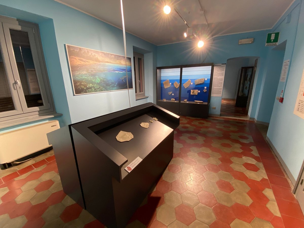Besano Civic Fossil Museum