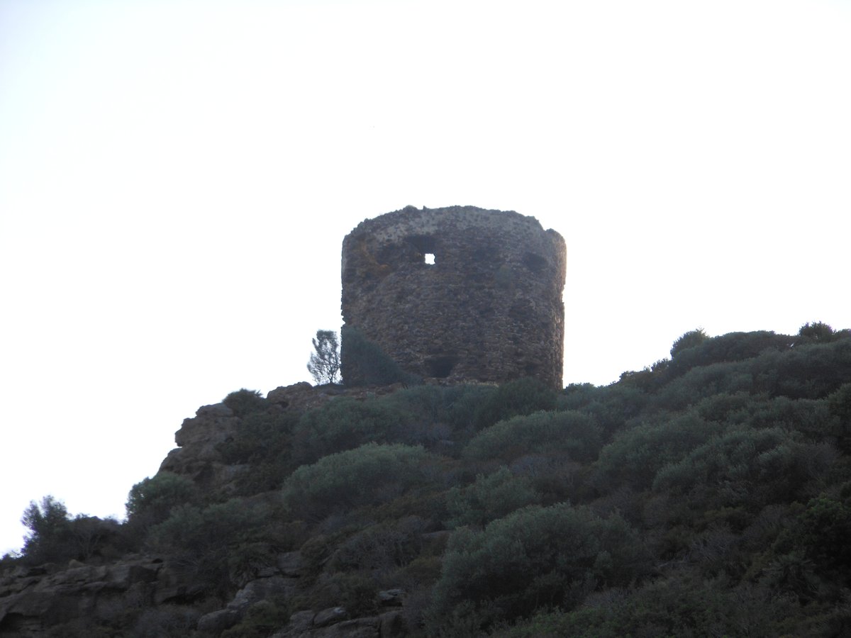 Torre Negra