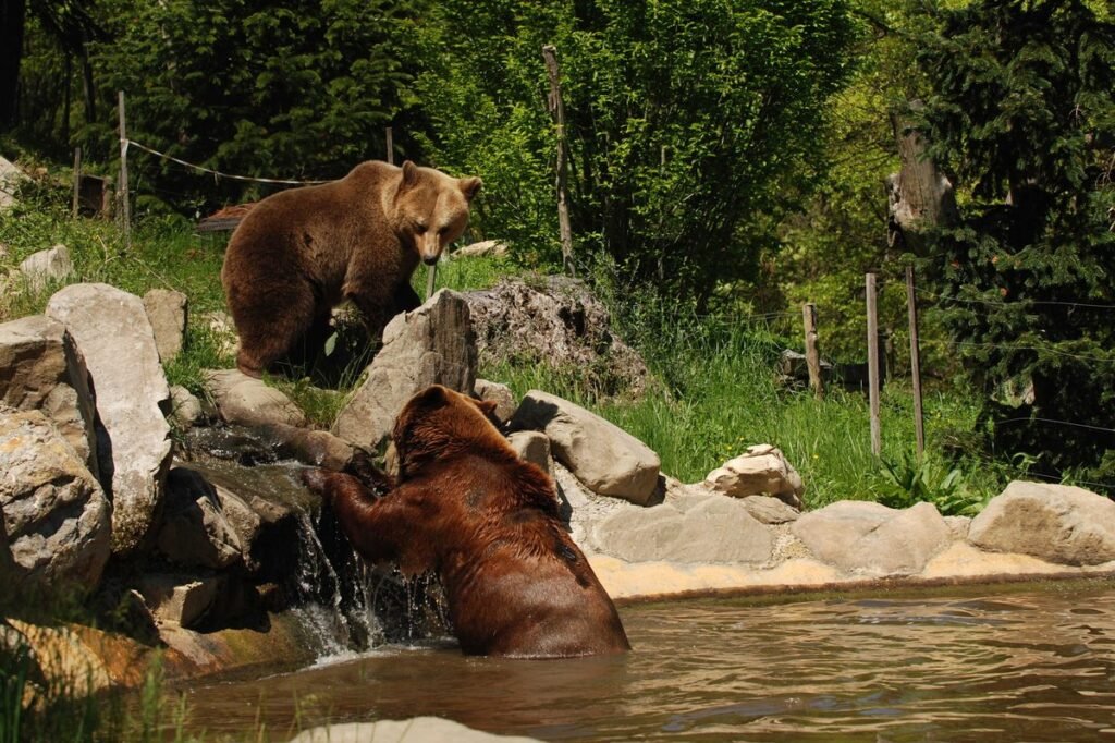 zoo e parco italiano a Pistoia
